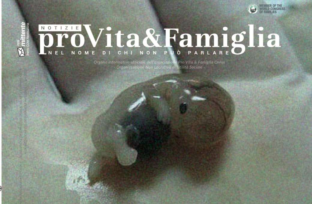 sulla copertina di Notizie PVF di maggio un bambino concepito da sei settimane
